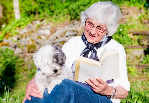 60 млн гривен пушистикам: в Китае женщина составила завещание своим любимцам