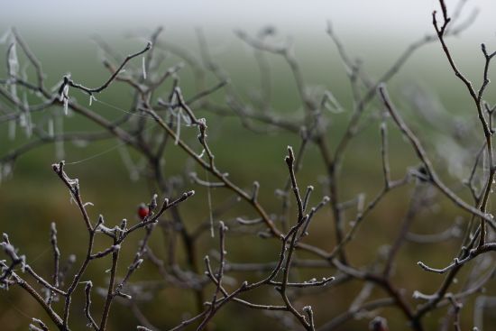 Какая будет погода в Украине 20 февраля: синоптики сделали прогноз