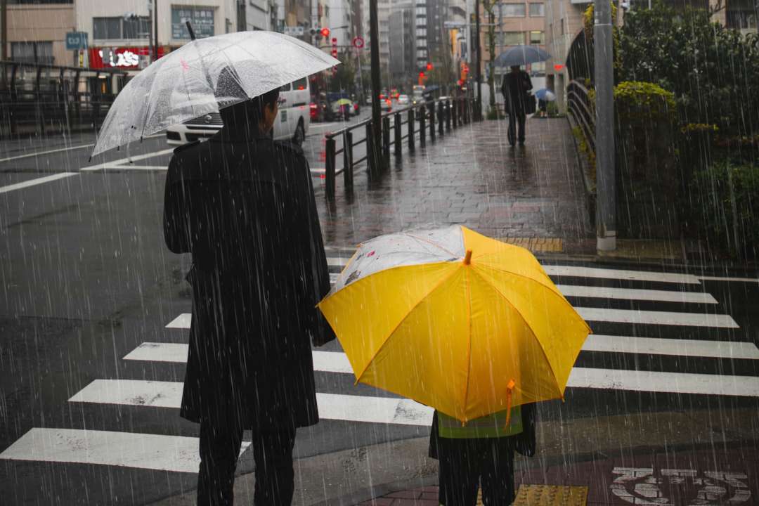 Погода на 3 березня в Україні: один регіон накриють дощі та сильні пориви вітру